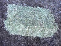 This premium brome hay had no rain and was baled dry