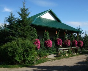 2 Years Later after landscaping