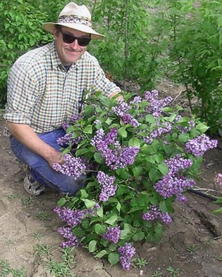 Juvenile Plant in Bloom