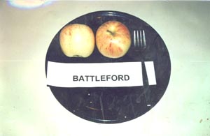Battleford Apples