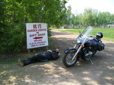 Mr. V's New Potatoes ar worth waiting for