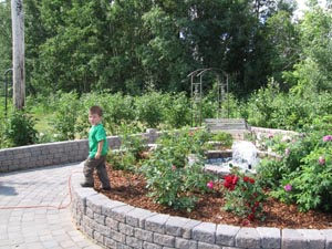 Playing In The Rose Garden
