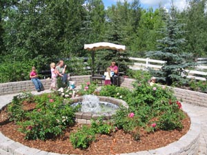 Tea In The Rose Garden