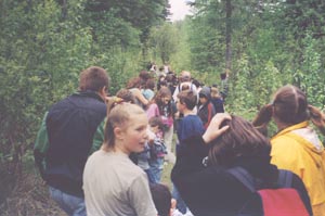 Getting To The Woodlot